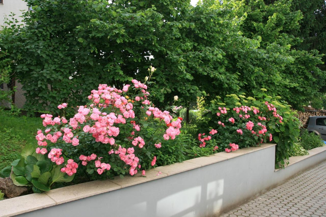 Apartment Magnolija - Free Parking คาร์โลวัตส์ ภายนอก รูปภาพ